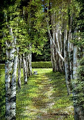 Birch Allee - Fine Art Pastel by E. Thor Carlson