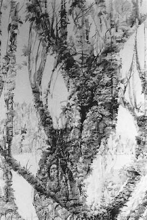 Canto I, Enchanted Loom Tree - Fine Art Drawing by E. Thor Carlson